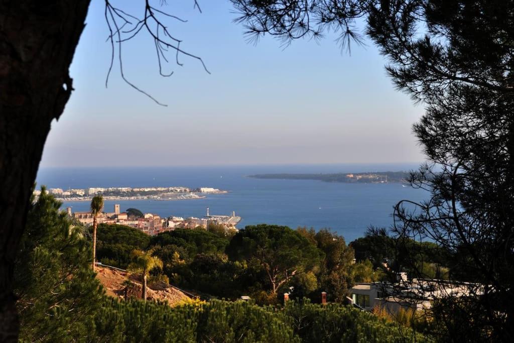 Cannes Beach And Festival Palais Exterior photo